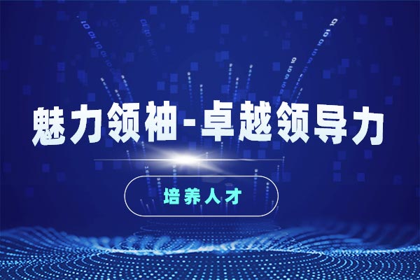 魅力领袖—卓越领导力