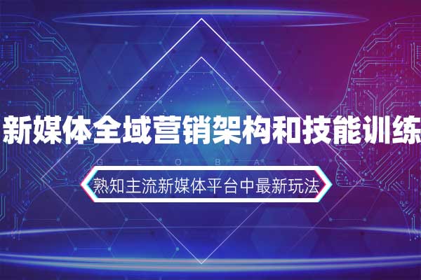 新媒体全域营销架构和技能训练 新媒体全域营销架构和技能训练