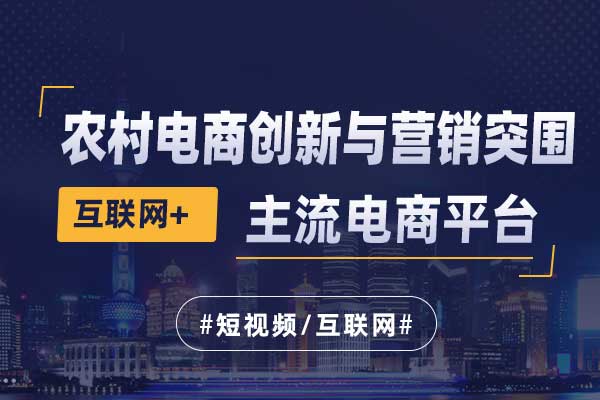 互联网+农村电商创新与营销突围 互联网+农村电商创新与营销突围