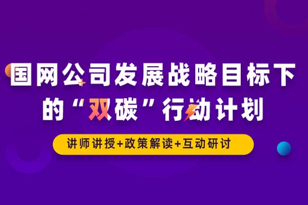 国网公司发展战略目标下的“双碳”行动