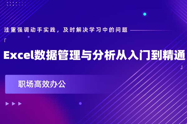 职场高效办公：Excel数据管理与分