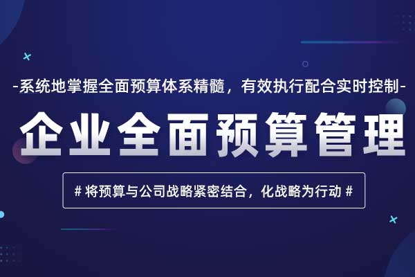 企业全面预算管理 企业全面预算管理