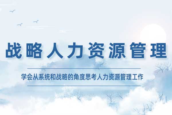 战略人力资源管理 战略人力资源管理