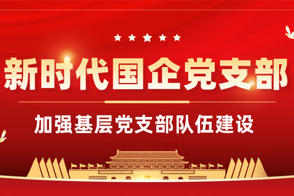 党建实务：新时代国企党支部党建工作实