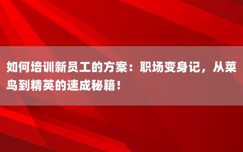 如何培训新员工的方案：职场变身记，从菜鸟